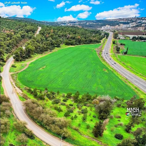 صور حديثة من أراضي قرية المجيدل المهجرة