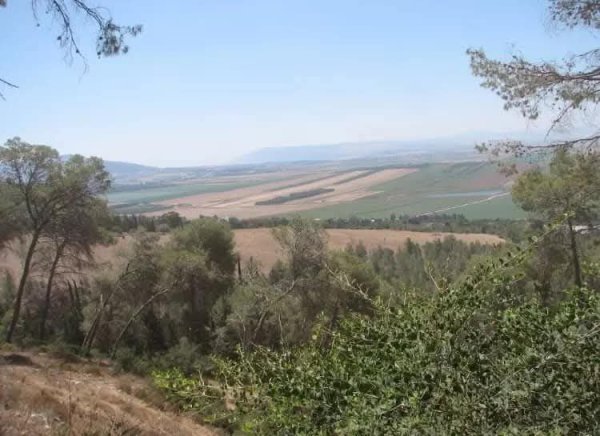 صور حديثة من أراضي قرية المجيدل المهجرة