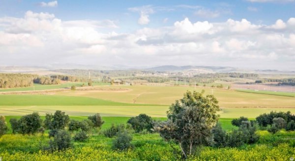  | موسوعة القرى الفلسطينية