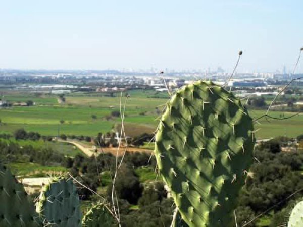  | موسوعة القرى الفلسطينية