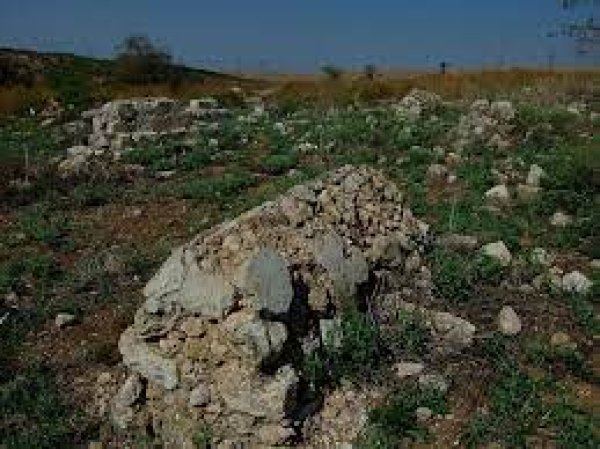  | موسوعة القرى الفلسطينية