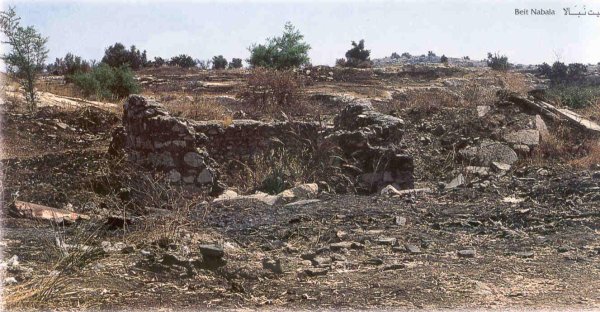  | موسوعة القرى الفلسطينية