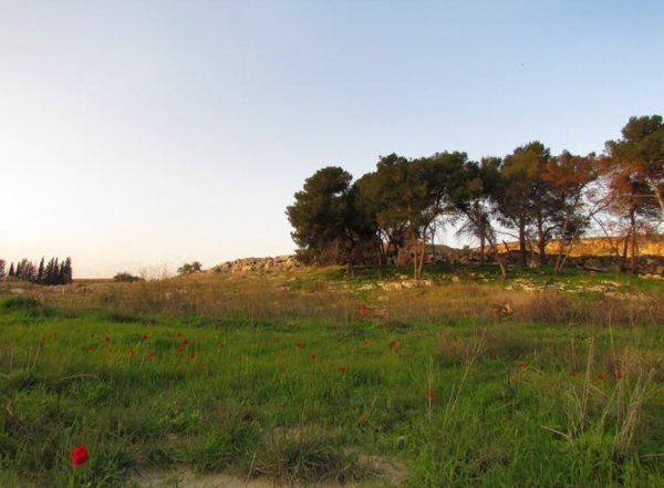  | موسوعة القرى الفلسطينية