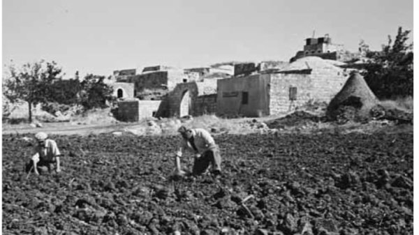  | موسوعة القرى الفلسطينية