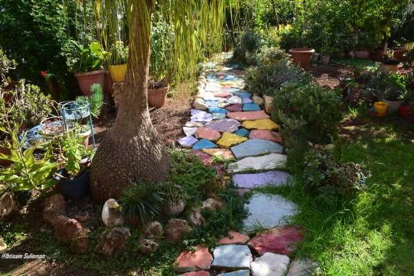 خريطة معليا / عكا