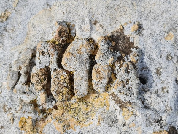 خريطة معليا / عكا