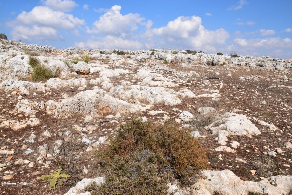 خريطة معليا / عكا