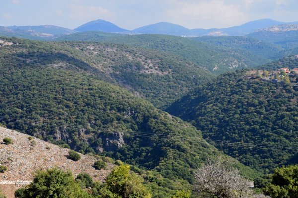 خريطة معليا / عكا