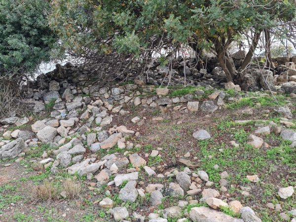 خريطة معليا / عكا