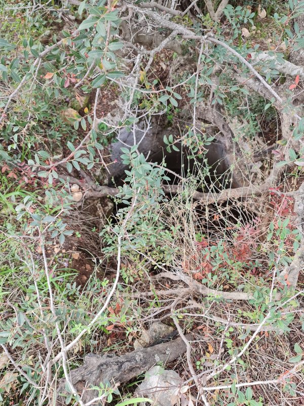 خريطة معليا / عكا