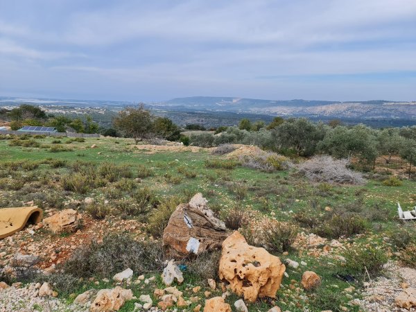 خريطة معليا / عكا