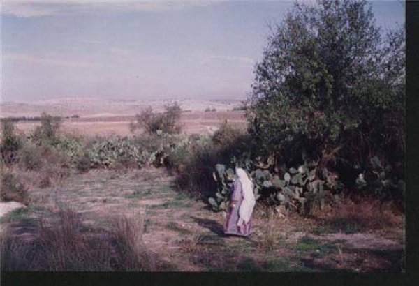 قرية القباب