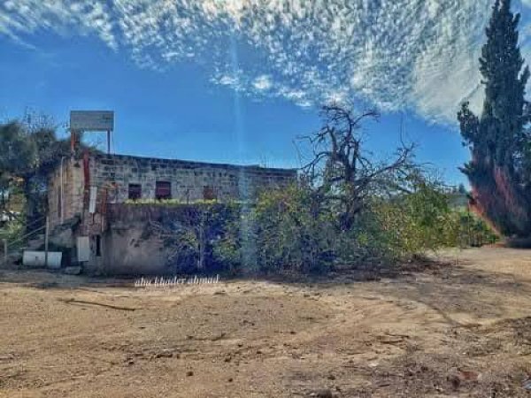 قرية القباب قضاء الرملة/تصوير : أبو خضر أحمد