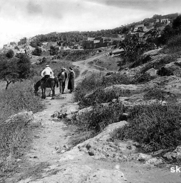  | موسوعة القرى الفلسطينية
