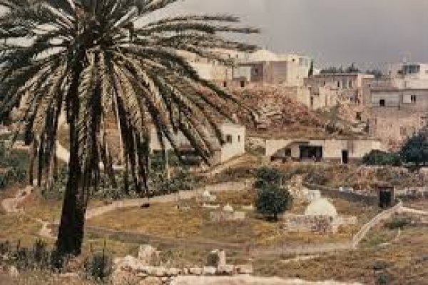  | موسوعة القرى الفلسطينية