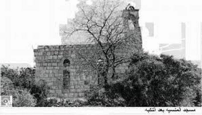 المَنْصُورَة  | موسوعة القرى الفلسطينية