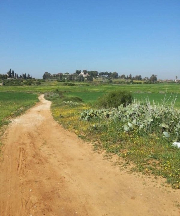  | موسوعة القرى الفلسطينية