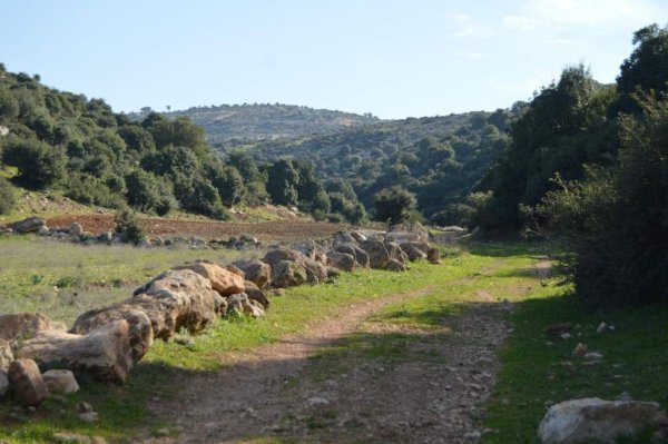  | موسوعة القرى الفلسطينية