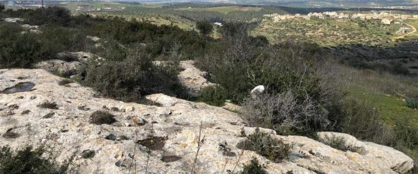  | موسوعة القرى الفلسطينية