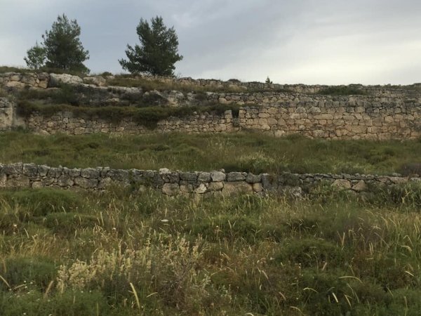  | موسوعة القرى الفلسطينية