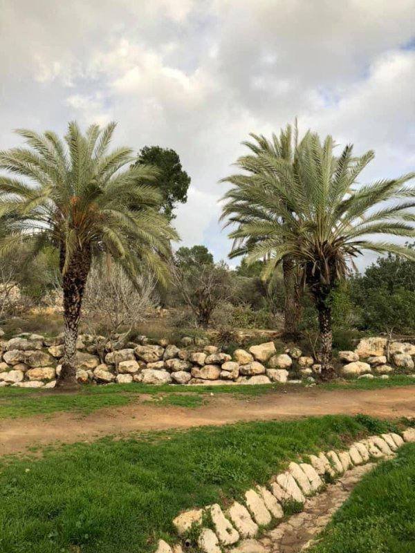  | موسوعة القرى الفلسطينية