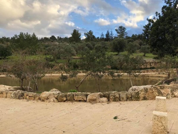  | موسوعة القرى الفلسطينية