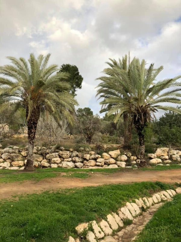  | موسوعة القرى الفلسطينية