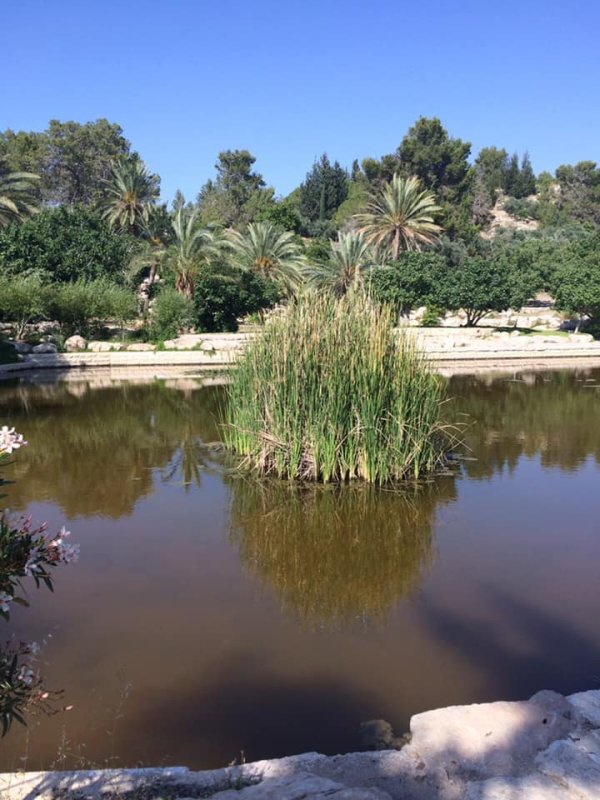  | موسوعة القرى الفلسطينية