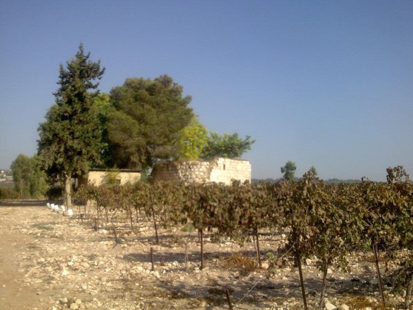  | موسوعة القرى الفلسطينية