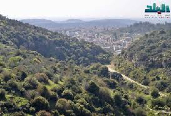  | موسوعة القرى الفلسطينية