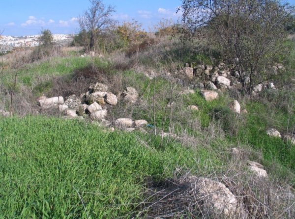  | موسوعة القرى الفلسطينية