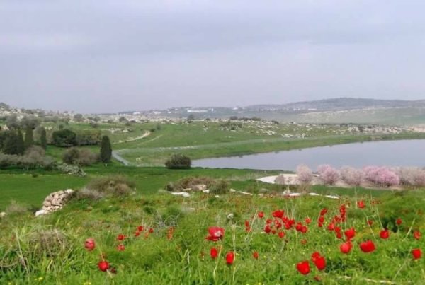  | موسوعة القرى الفلسطينية