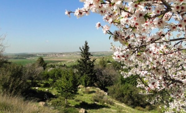  | موسوعة القرى الفلسطينية