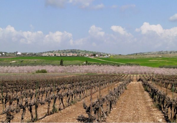  | موسوعة القرى الفلسطينية