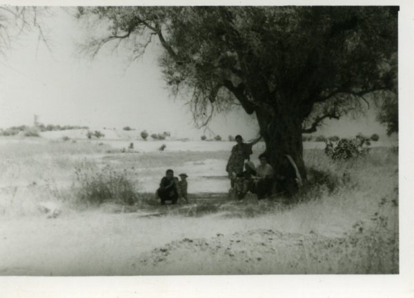  | موسوعة القرى الفلسطينية