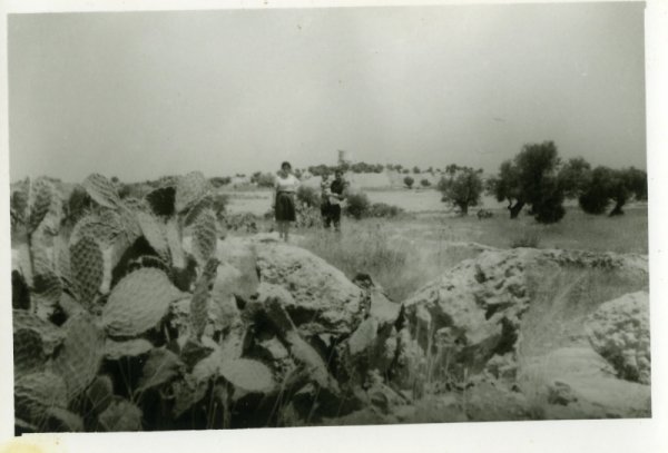  | موسوعة القرى الفلسطينية