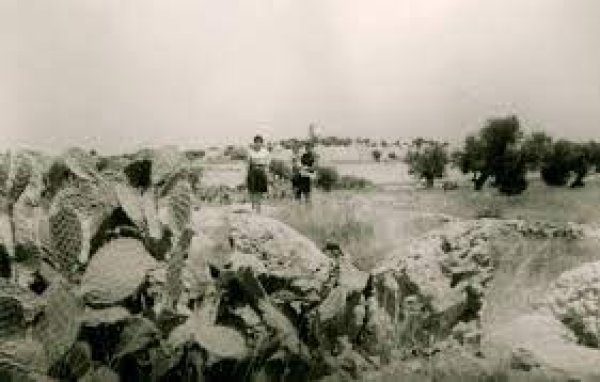  | موسوعة القرى الفلسطينية