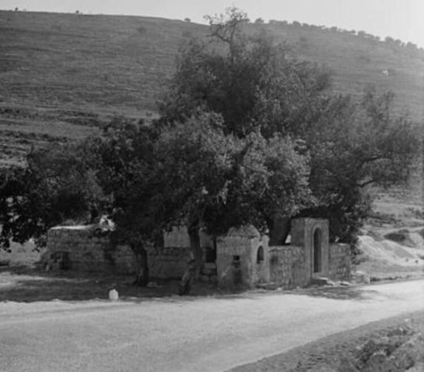  | موسوعة القرى الفلسطينية