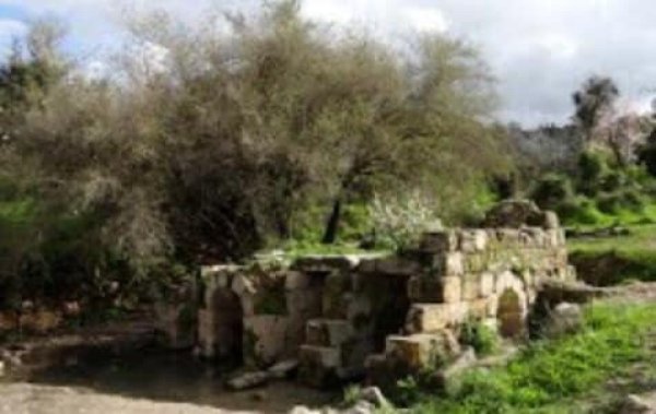  | موسوعة القرى الفلسطينية