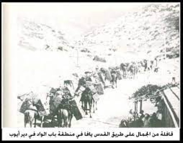  | موسوعة القرى الفلسطينية