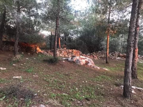  | موسوعة القرى الفلسطينية