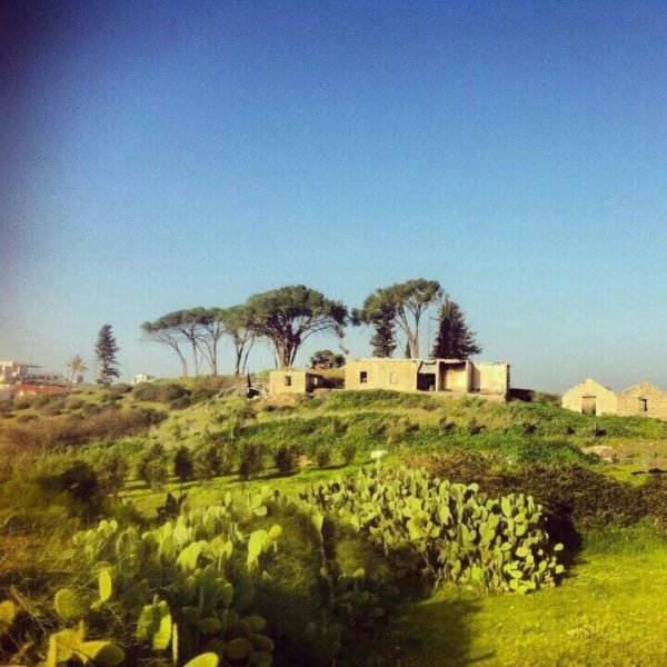  | موسوعة القرى الفلسطينية