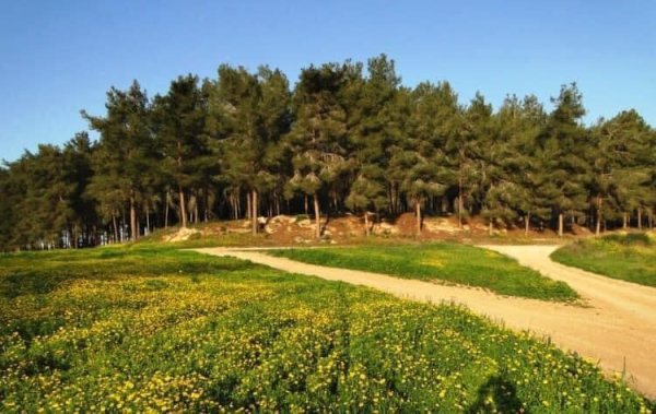  | موسوعة القرى الفلسطينية