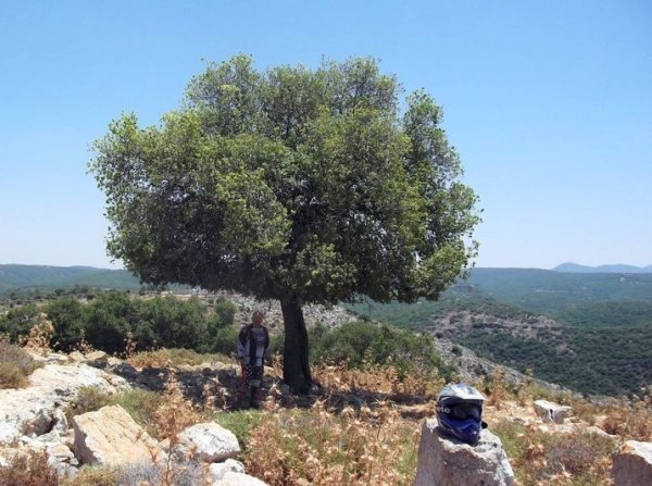  | موسوعة القرى الفلسطينية