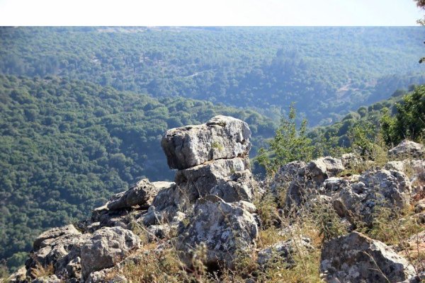  | موسوعة القرى الفلسطينية