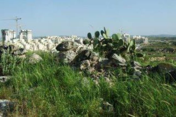  | موسوعة القرى الفلسطينية