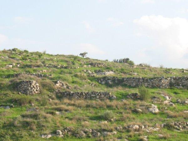  | موسوعة القرى الفلسطينية