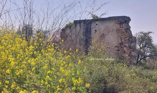  | موسوعة القرى الفلسطينية