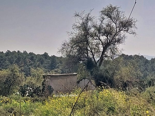  | موسوعة القرى الفلسطينية