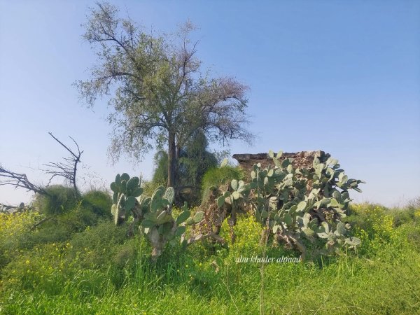  | موسوعة القرى الفلسطينية